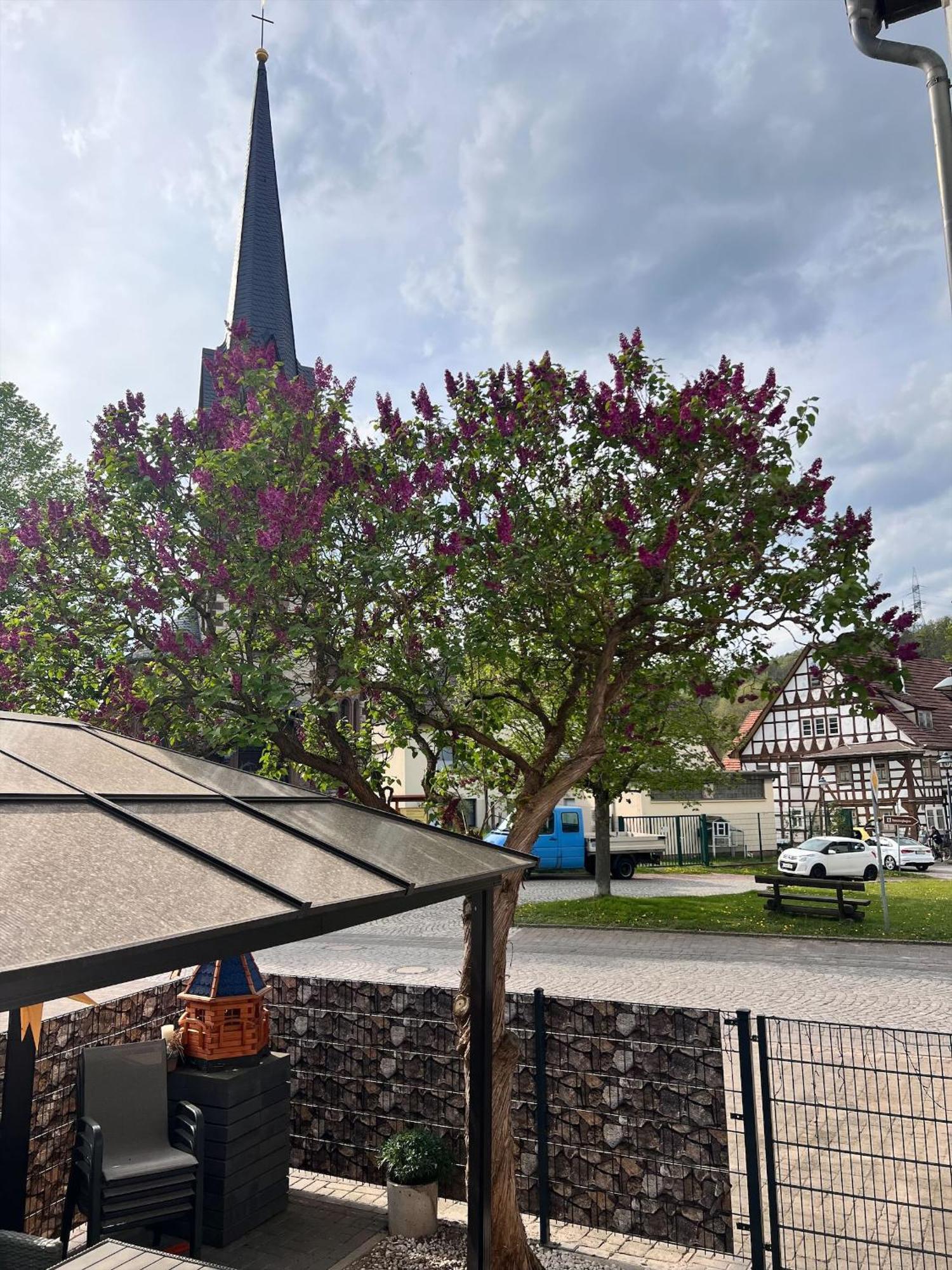 Ferien- Und Monteurwohnungen Andrej Eisenach Bagian luar foto